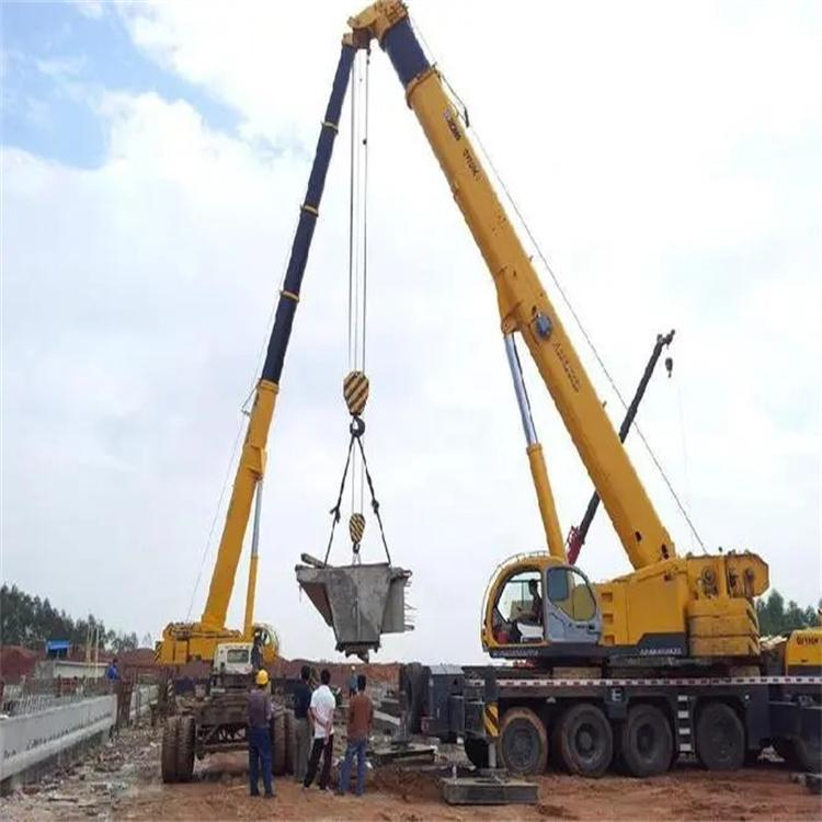 新吴小型吊机出租电话|厂房设备吊装方案|24小时服务覆盖